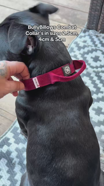 Built Strong For Smaller Dogs 🔒