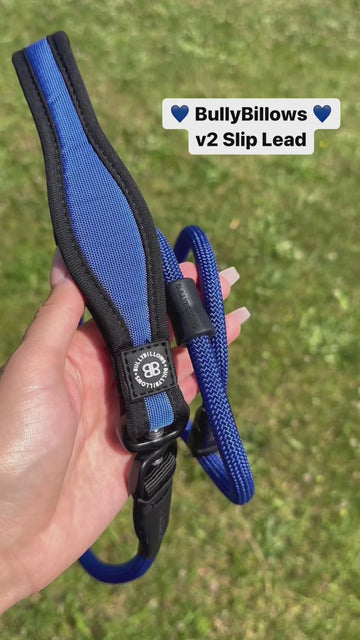 Perfect For Training 🎯