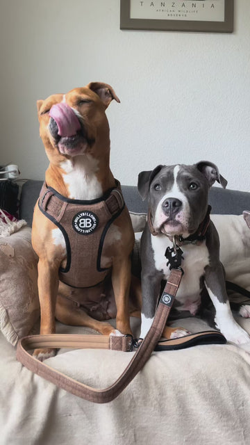 Built For Powerful Dogs 💪
