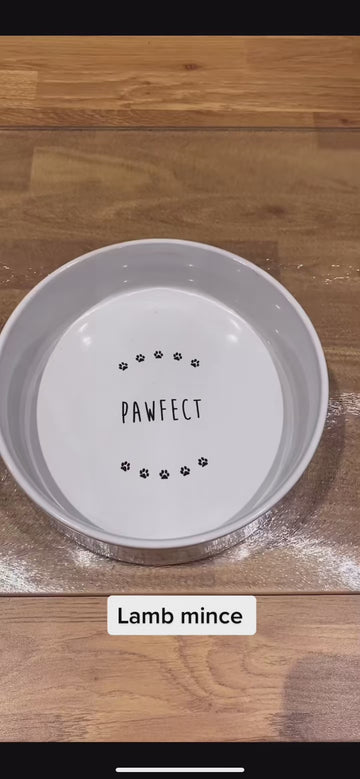 The Bowl Didn’t Stand A Chance 😂