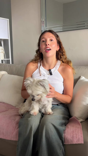 Calmer, Happier Dogs with Hemp Oil 🌿