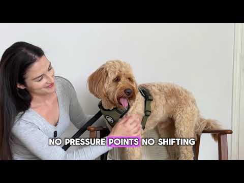 Comfort Premium Harness | Non Restrictive - Black