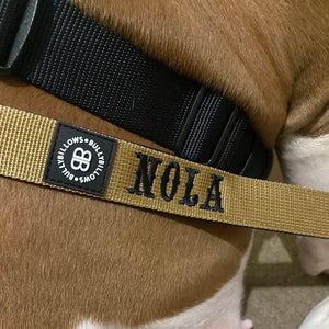 Tan lead with black text in saloon font