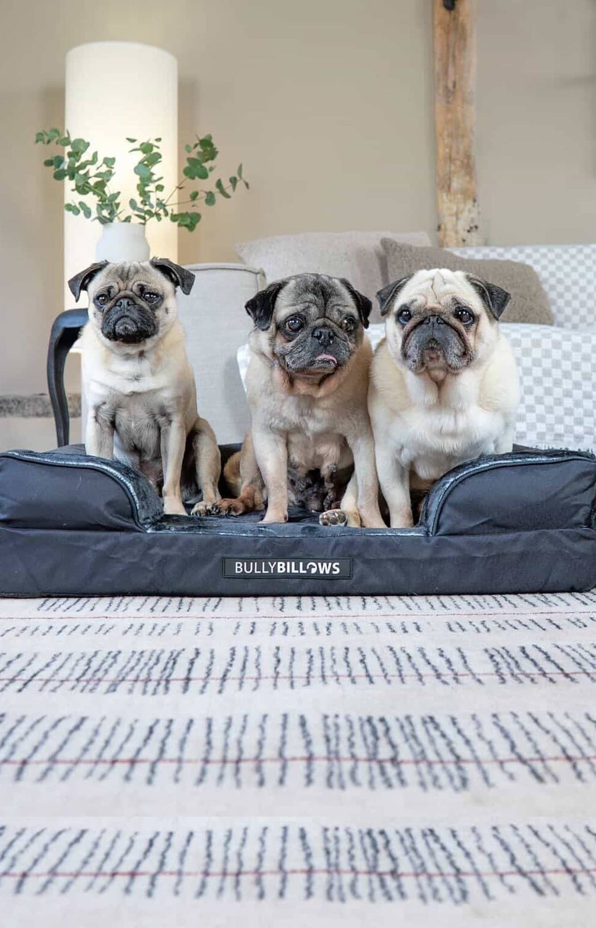 @thepuggysmalls