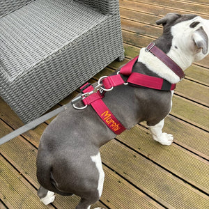 Red harness with yellow text in hobo font