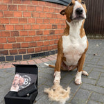 BullyBillows Complete Animal Deshedding Kit - Black