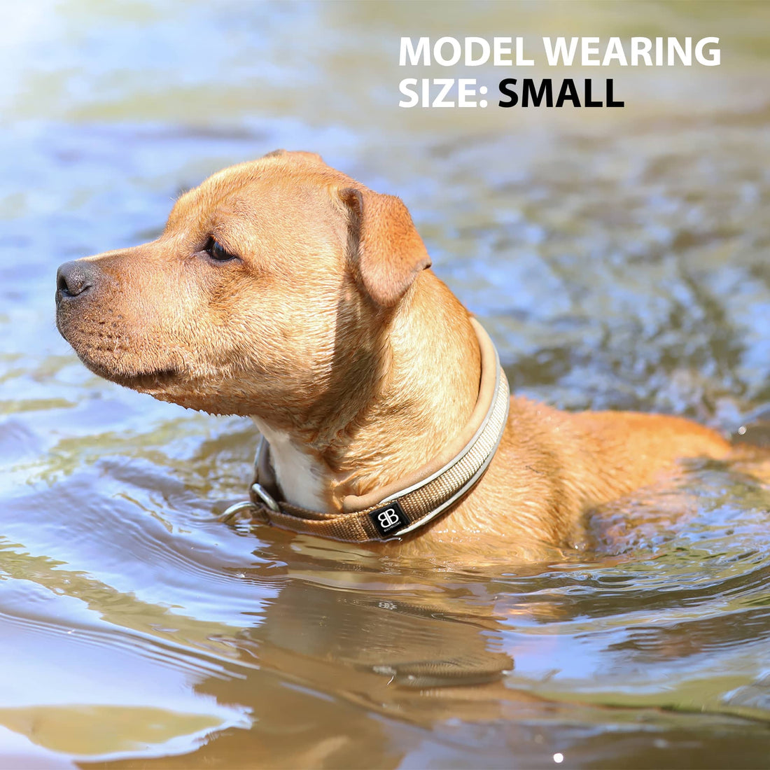 featured image of 3cm Slip on Collar | Foam Padded - Red