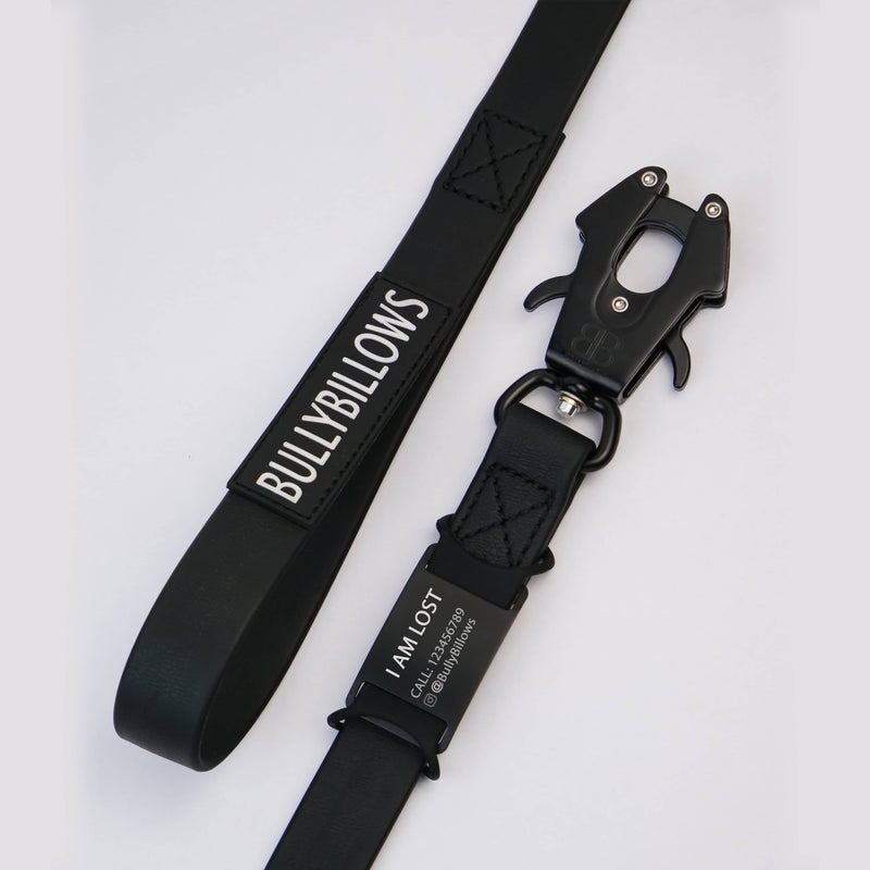 Dog ID Attachment Tag (8 Colour Choices)