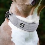 Active Slip N' Clip Collar - Metal Grey