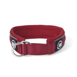 4cm RR Collar | Soft Padded & Reflective | Series 2 - Burgundy