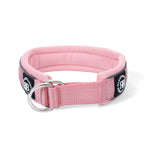 4cm RR Collar | Soft Padded & Reflective | Series 2 - Pink