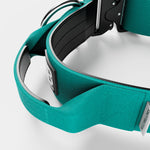5cm Combat® Collar | With Handle & Rated Clip - Turquoise v2.0