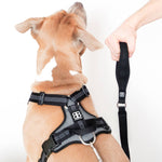 Active Harness | With Handle - Padded Lining & Highly Reflective - Pink