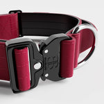5cm Combat® Collar | With Handle & Rated Clip - Burgundy v2.0