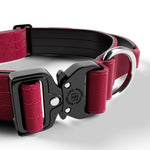 4cm Combat® Collar | With Handle & Rated Clip - Burgundy v2.0