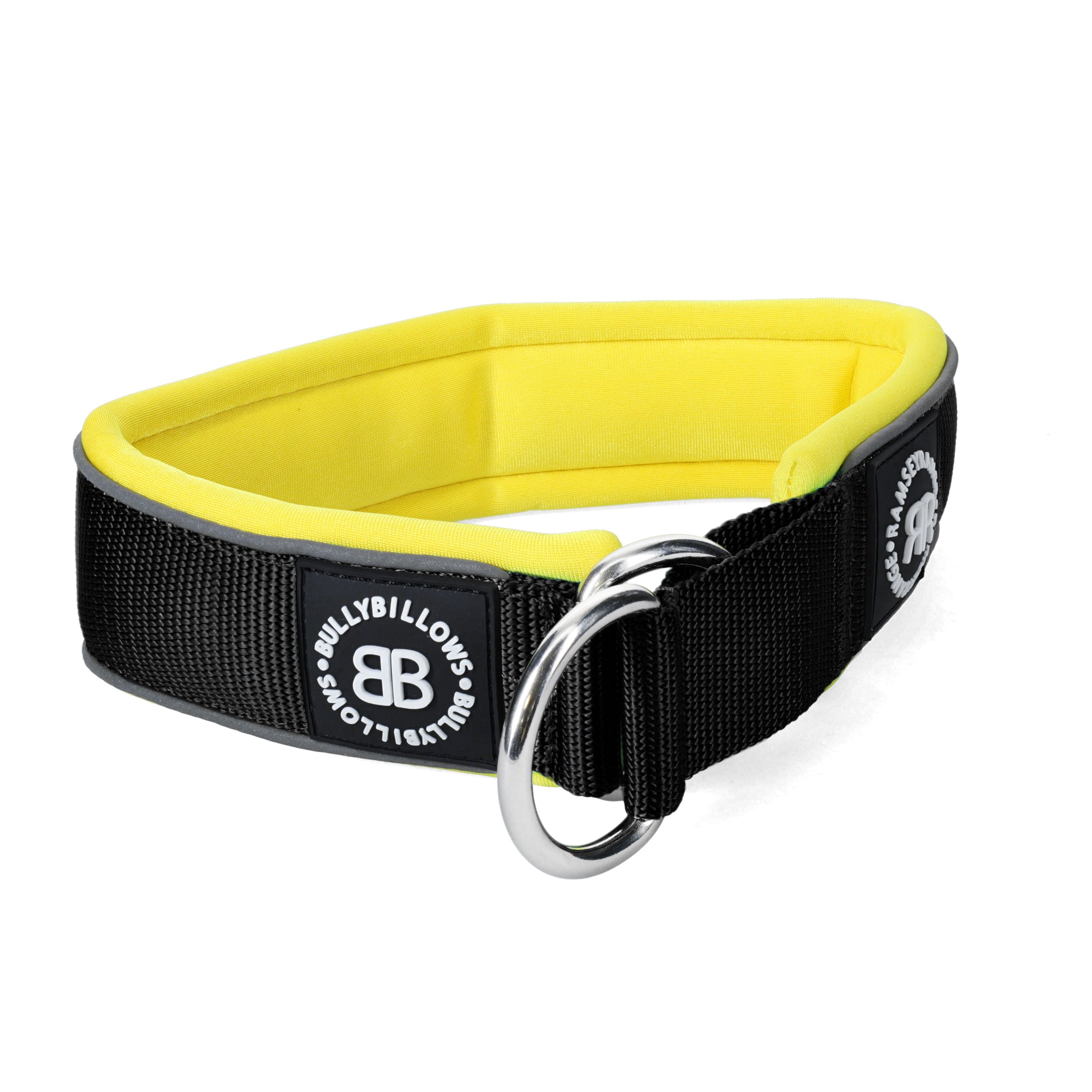 Black and yellow dog on sale collar