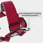 TRI-Harness® | Anti-Pull, Adjustable & Durable - Dog Trainers Choice - Burgundy v2.0