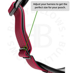 Premium Comfort Harness | Non Restrictive & Adjustable - Burgundy v2.0