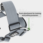 TRI-Harness® | Anti-Pull, Adjustable & Durable - Dog Trainers Choice - Metal Grey v2.0