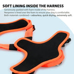 Active Harness | With Handle - Padded Lining & Highly Reflective - Orange