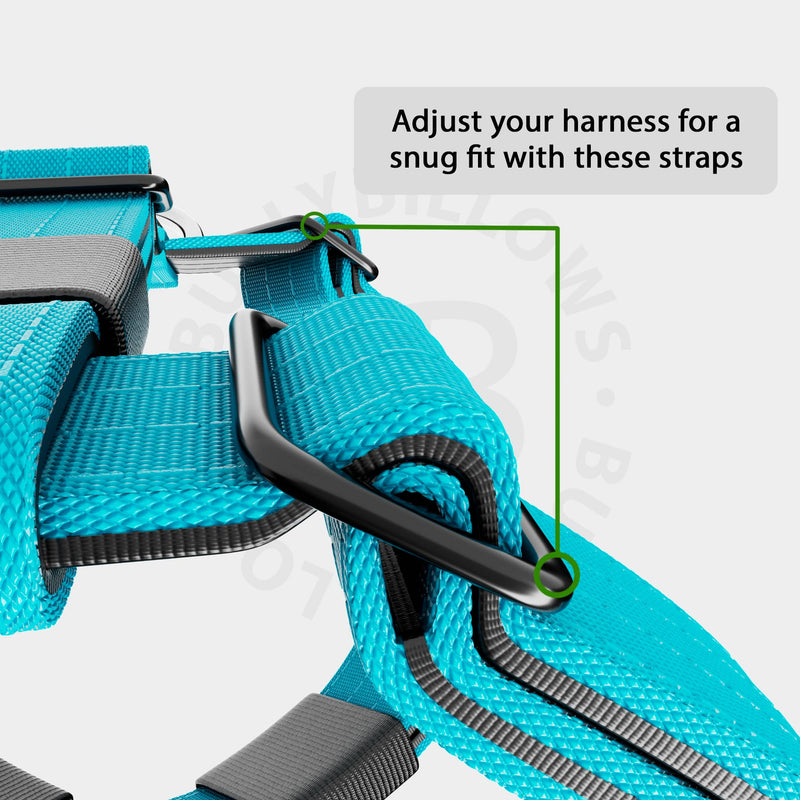 Training Anti Pull TRI-Harness® | M-XL Breeds - Light Blue