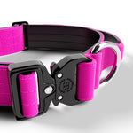 4cm Combat® Collar | With Handle & Rated Clip - Magenta v2.0