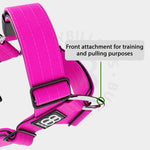 TRI-Harness® | Anti-Pull, Adjustable & Durable - Dog Trainers Choice - Magentas v2.0