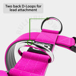 TRI-Harness® | Anti-Pull, Adjustable & Durable - Dog Trainers Choice - Magentas v2.0