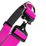 4cm Combat® Collar | With Handle & Rated Clip - Magentas v2.0