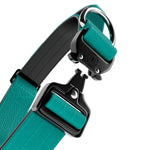 4cm Combat® Collar | With Handle & Rated Clip - Turquoise v2.0