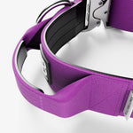 5cm Combat® Collar | With Handle & Rated Clip - PLATINUM Purple v2.0