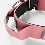 5cm Combat® Collar | With Handle & Rated Clip - Pink v2.0