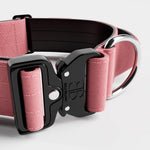 5cm Combat® Collar | With Handle & Rated Clip - Pink v2.0