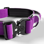 4cm Combat® Collar | With Handle & Rated Clip - Purple v2.0