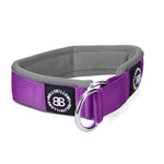 5cm RR Collar | Soft Padded & Reflective | Series 2 - Purple & Metal Grey