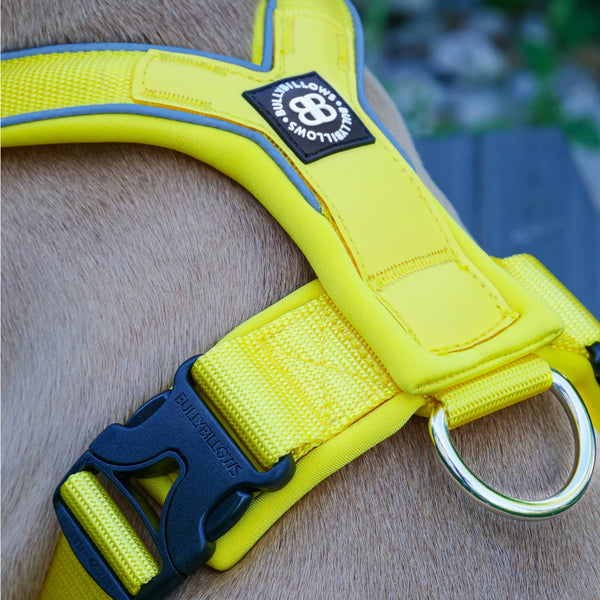 Slip on Harness | Foam Padded - Yellow