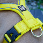 RR - Slip on Padded Comfort Harness | Non Restrictive & Reflective - Yellow