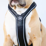 RR - Slip on Padded Comfort Harness | Non Restrictive & Reflective - Black
