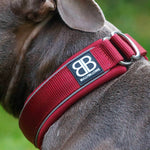 4cm RR Collar | Soft Padded & Reflective | Series 2 - Burgundy