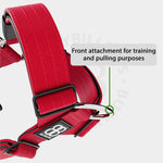 TRI-Harness® | Anti-Pull, Adjustable & Durable - Dog Trainers Choice - Red v2.0