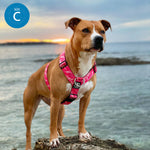 TRI-Harness® | Anti-Pull, Adjustable & Durable - Dog Trainers Choice -  Pink v2.0