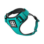 Premium Comfort Harness | Non Restrictive & Adjustable - Turquoise v2.0