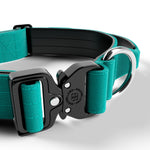 4cm Combat® Collar | With Handle & Rated Clip - Turquoise v2.0