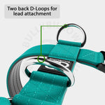 TRI-Harness® | Anti-Pull, Adjustable & Durable - Dog Trainers Choice - Turquoise v2.0