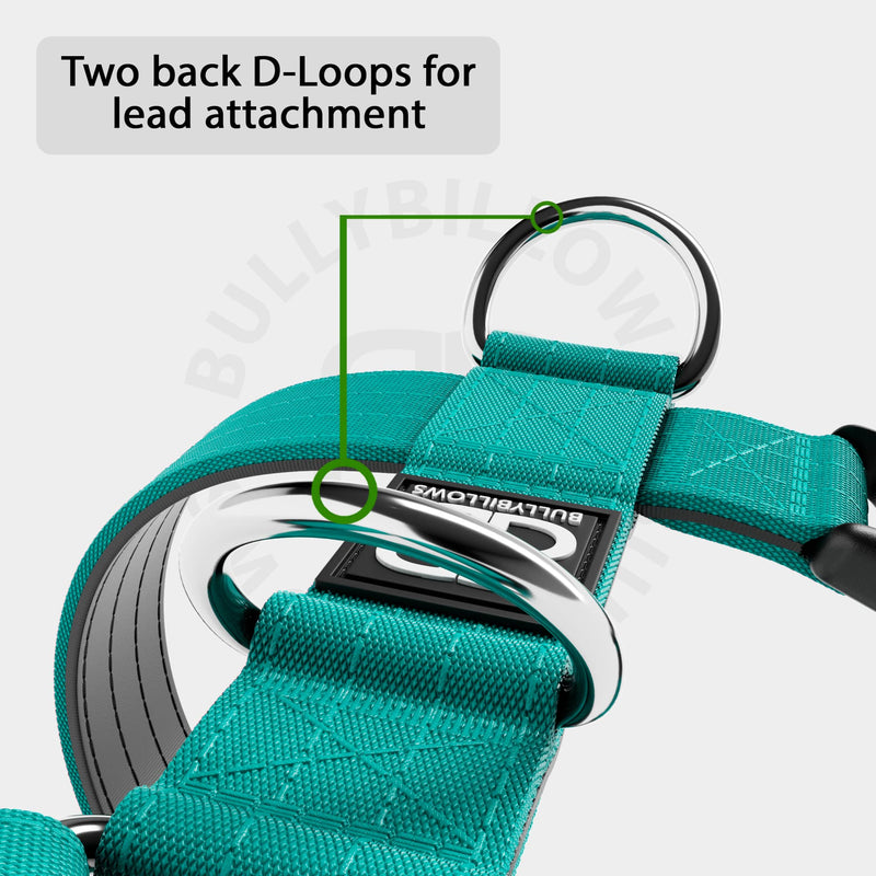 Training Anti Pull TRI-Harness® | M-XL Breeds - Turquoise