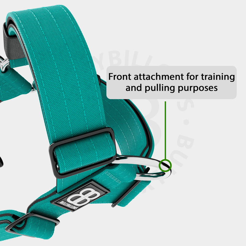 Training Anti Pull TRI-Harness® | M-XL Breeds - Turquoise