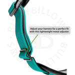 Premium Comfort Harness | Non Restrictive & Adjustable - Turquoise v2.0