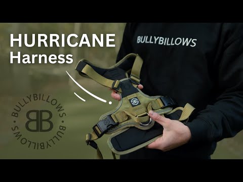 Anti Pull Hurricane Harness Lighter | With Handle - Pink