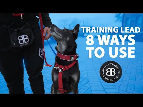 Training Double Ended Dog Lead | 2m Length -  Black