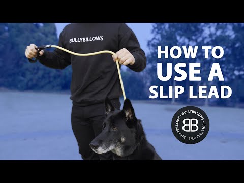 Slip Training Lead | Anti Pull & No Choking -  Grey